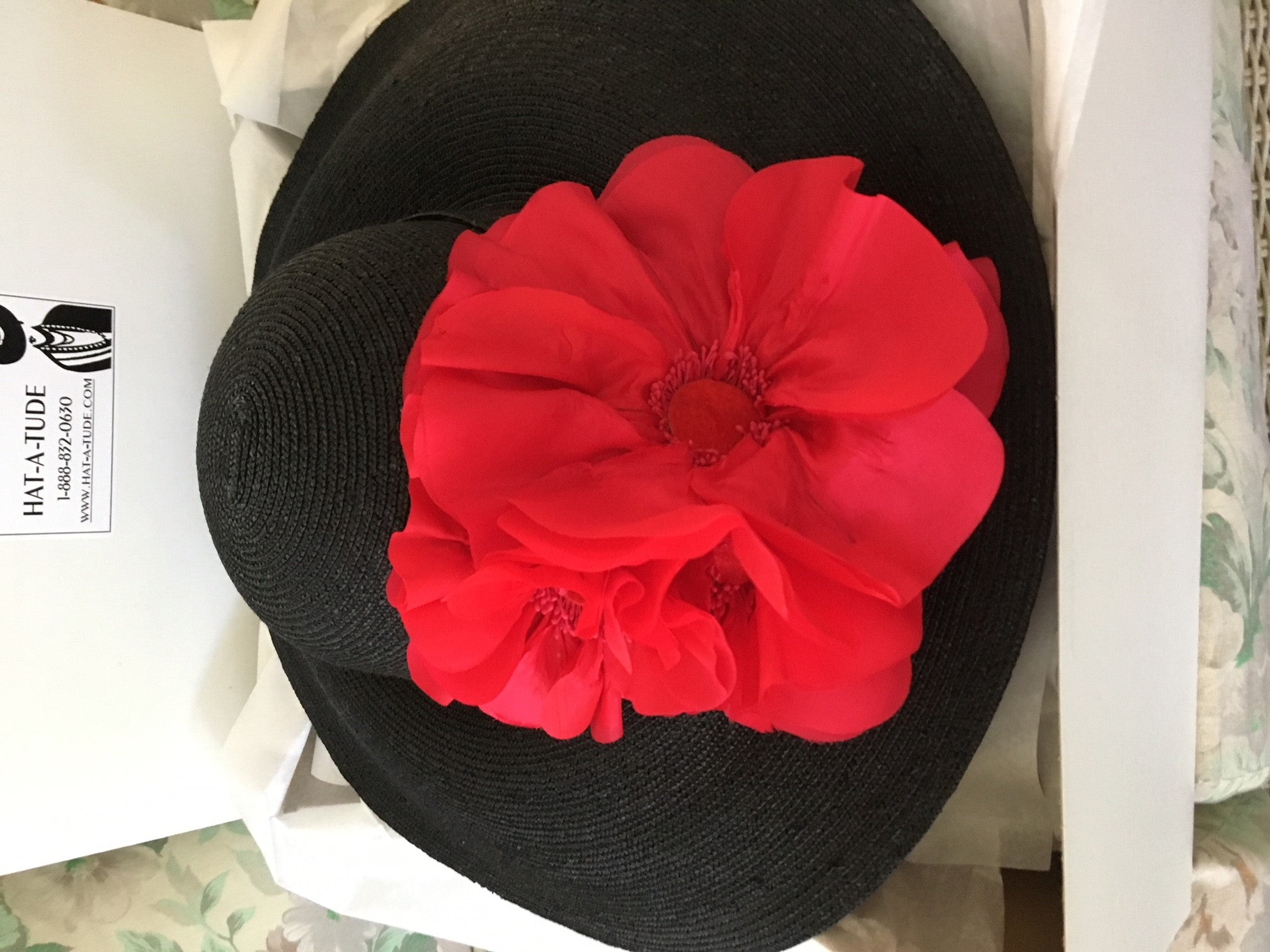 Black 6 Brim Milan-Red Poppy