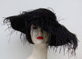 Black Velour Picture-Ostrich
