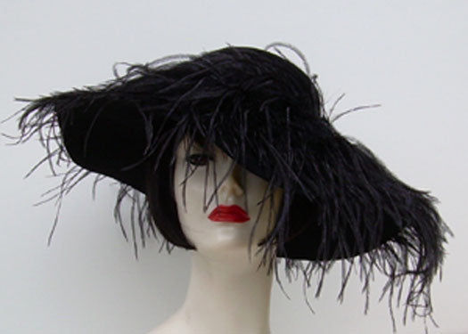 Black Velour Picture-Ostrich