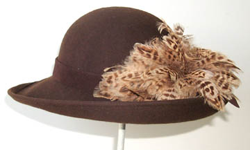 Brown Picture-Turkey Feather