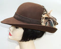 Brown Picture-Gold Feather