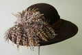 Brown Picture-Feather
