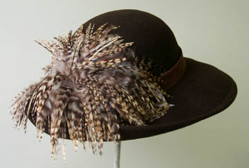 Brown Picture-Feather