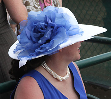 White 5-6" Brim Derby Hat-Blue Rose