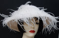 Winter White Picture - Ostrich Feathers