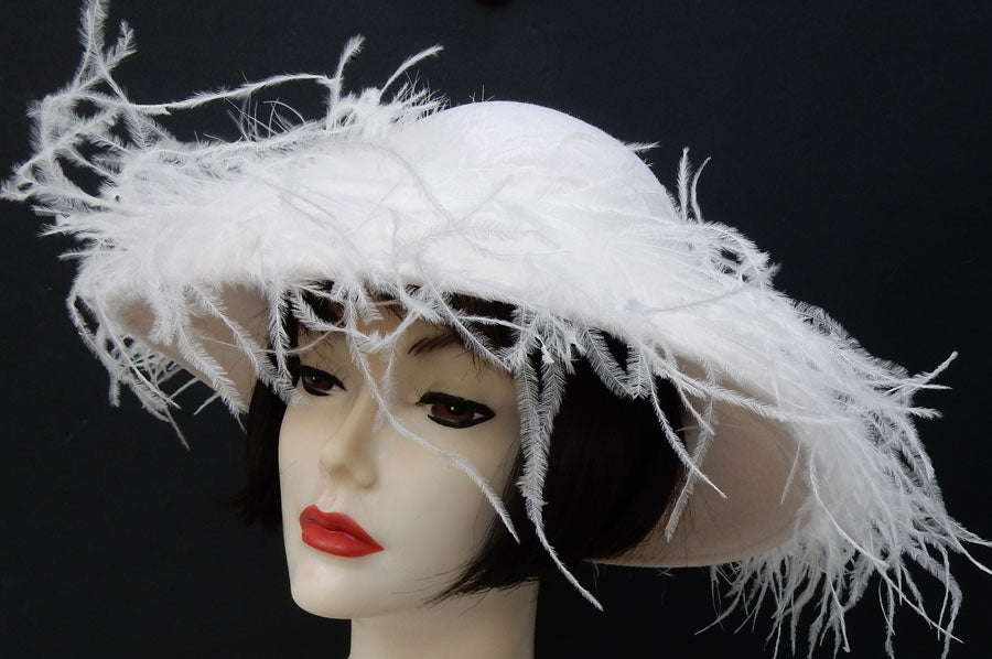 Winter White Picture - Ostrich Feathers