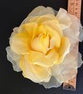 White 5-6 Brim-XL Yellow Rose