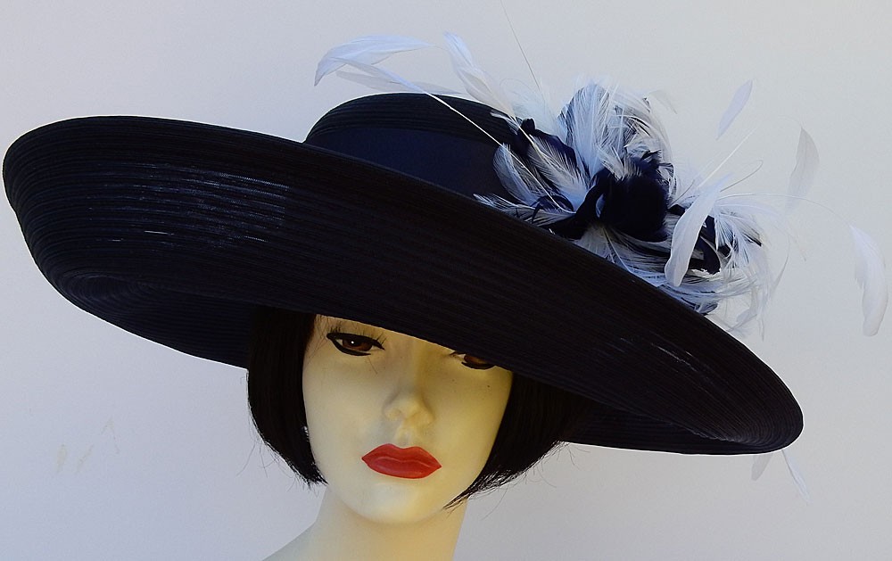 Navy Sheer Up Brim-Feather