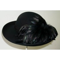 Black 3" Picture/Black Feathers