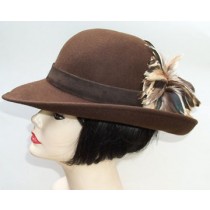 Brown 3" Picture/Gold Feather