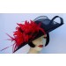 Black Profile Red Feather