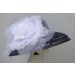 Navy Sheer Breton/XL White Rose