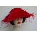 Red Large Picture/Ostrich Feather