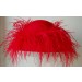 Red Small Picture/Ostrich Feather