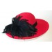 Red Large Picture/Black Feather