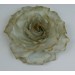 Flower Pin/Sage
